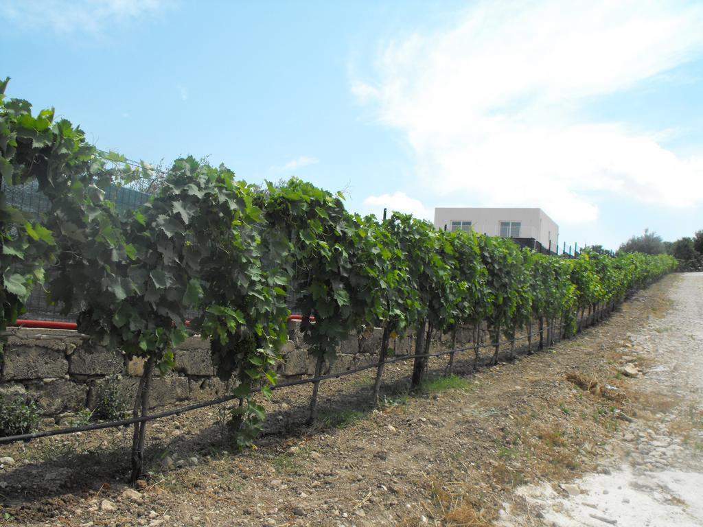 Agriturismoeloropizzuta Lido di Noto Dış mekan fotoğraf